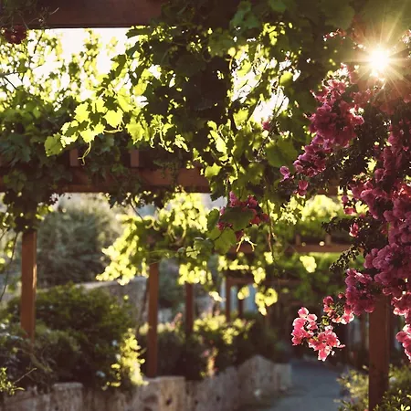 Hotel Lesante Cape - The Leading Of The World 5*